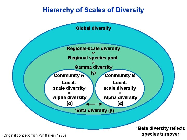 Hierarchy of Scales of Diversity Global diversity Regional-scale diversity or Regional species pool or