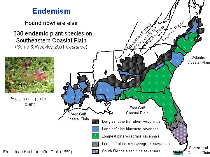 1630 endemic plant species on Southeastern Coastal Plain (Sorrie & Weakley 2001 Castanea) Ap