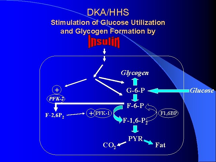 DKA/HHS Stimulation of Glucose Utilization and Glycogen Formation by Glycogen + G-6 -P PFK-2