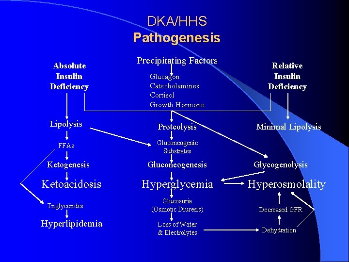 DKA/HHS Pathogenesis Absolute Insulin Deficiency Precipitating Factors Glucagon Catecholamines Cortisol Growth Hormone Lipolysis Proteolysis