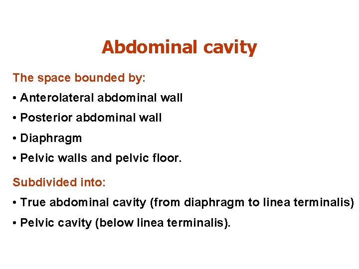Abdominal cavity The space bounded by: • Anterolateral abdominal wall • Posterior abdominal wall