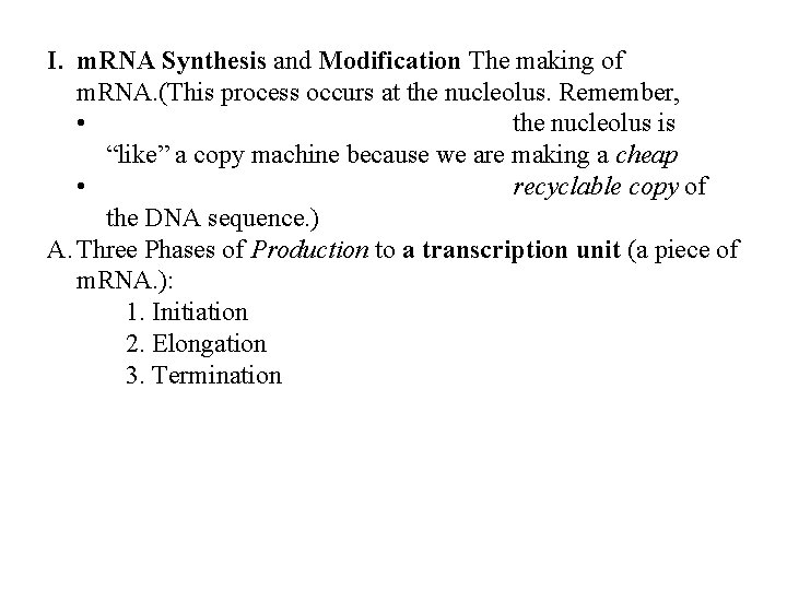 I. m. RNA Synthesis and Modification The making of m. RNA. (This process occurs