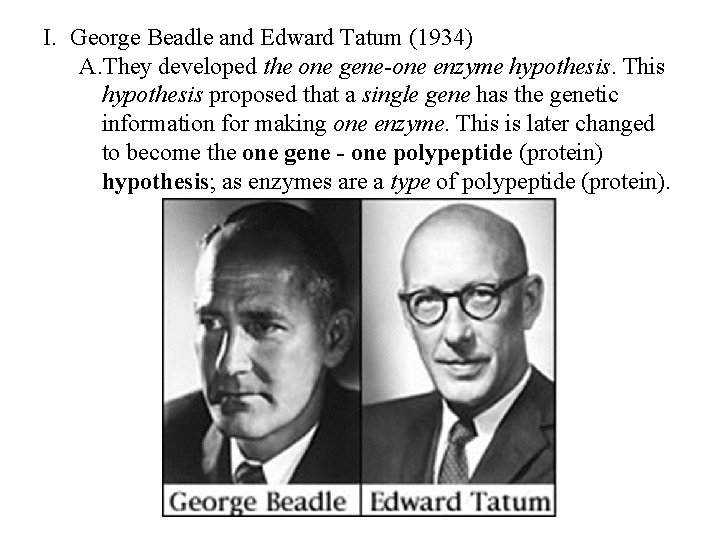 I. George Beadle and Edward Tatum (1934) A. They developed the one gene-one enzyme