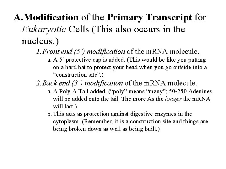 A. Modification of the Primary Transcript for Eukaryotic Cells (This also occurs in the