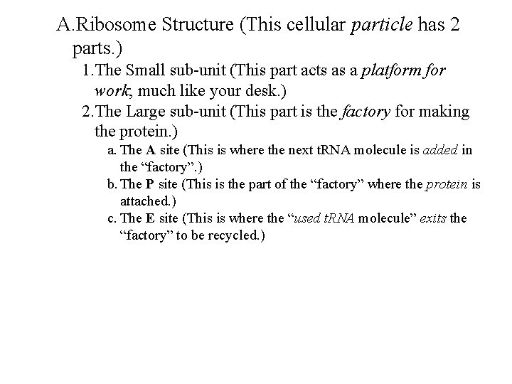A. Ribosome Structure (This cellular particle has 2 parts. ) 1. The Small sub-unit