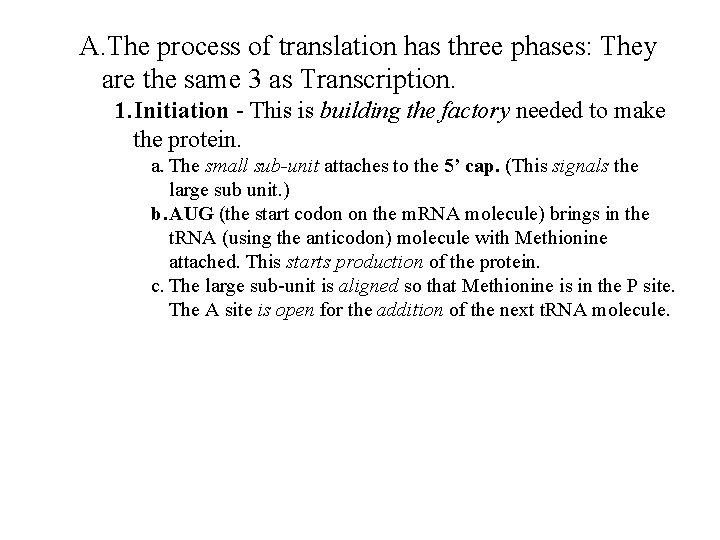 A. The process of translation has three phases: They are the same 3 as