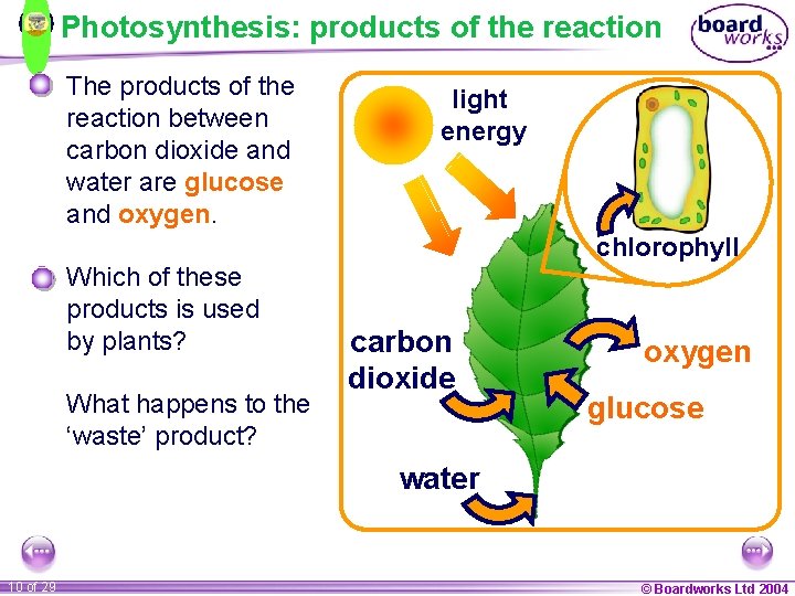 Photosynthesis: products of the reaction The products of the reaction between carbon dioxide and