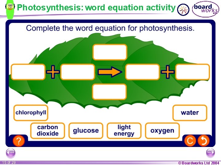 Photosynthesis: word equation activity 15 of 29 © Boardworks Ltd 2004 