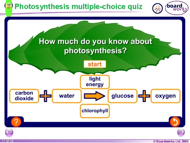 Photosynthesis multiple-choice quiz 17 of 29 © Boardworks Ltd 2004 