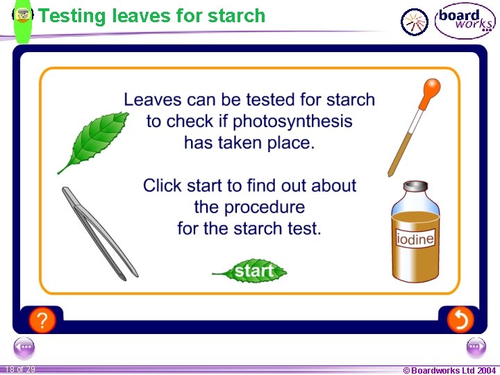 Testing leaves for starch 18 of 29 © Boardworks Ltd 2004 