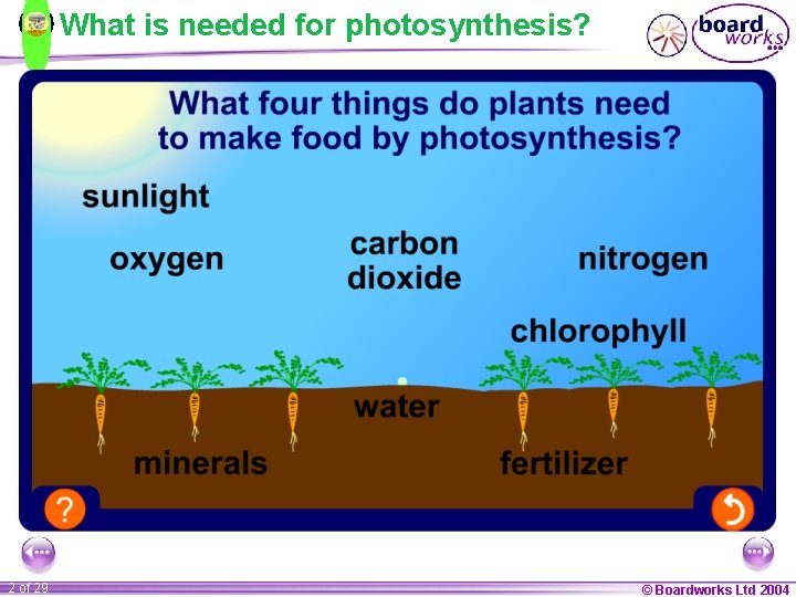 What is needed for photosynthesis? 2 of 29 © Boardworks Ltd 2004 