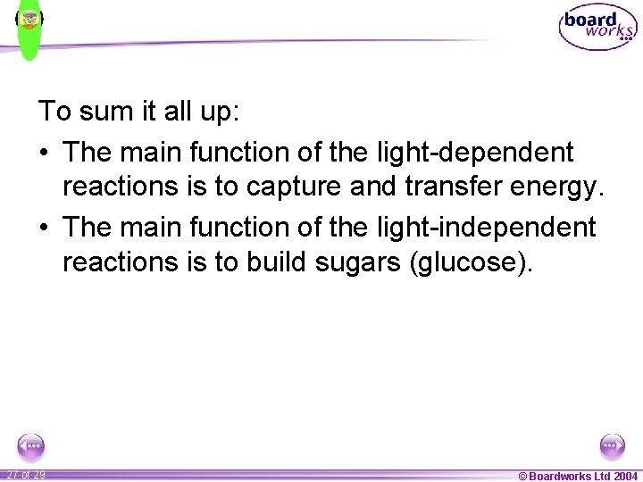 To sum it all up: • The main function of the light-dependent reactions is