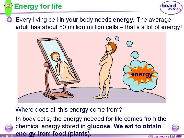 Energy for life Every living cell in your body needs energy. The average adult