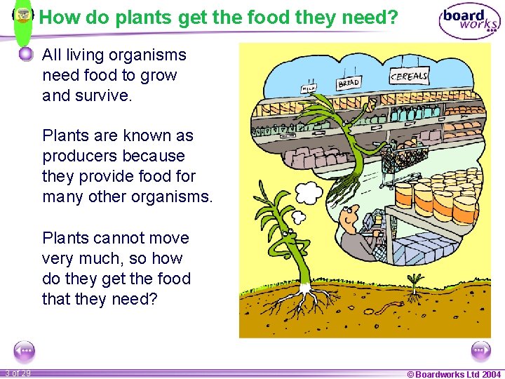 How do plants get the food they need? All living organisms need food to