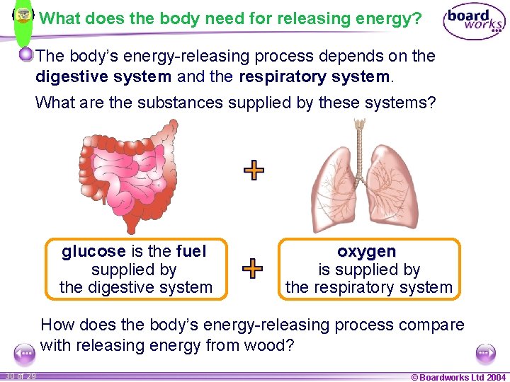 What does the body need for releasing energy? The body’s energy-releasing process depends on