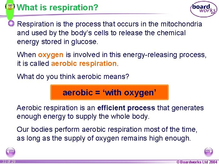 What is respiration? Respiration is the process that occurs in the mitochondria and used