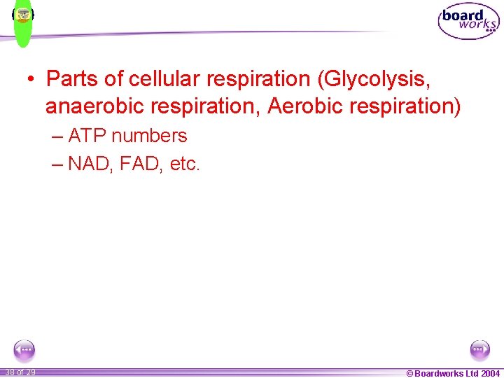  • Parts of cellular respiration (Glycolysis, anaerobic respiration, Aerobic respiration) – ATP numbers