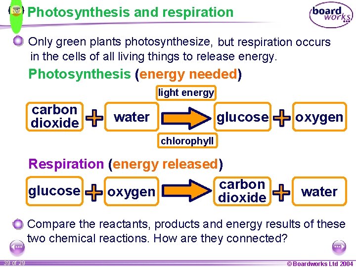 Photosynthesis and respiration Only green plants photosynthesize, but respiration occurs in the cells of