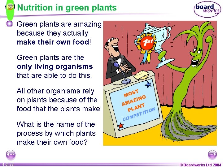 Nutrition in green plants Green plants are amazing because they actually make their own
