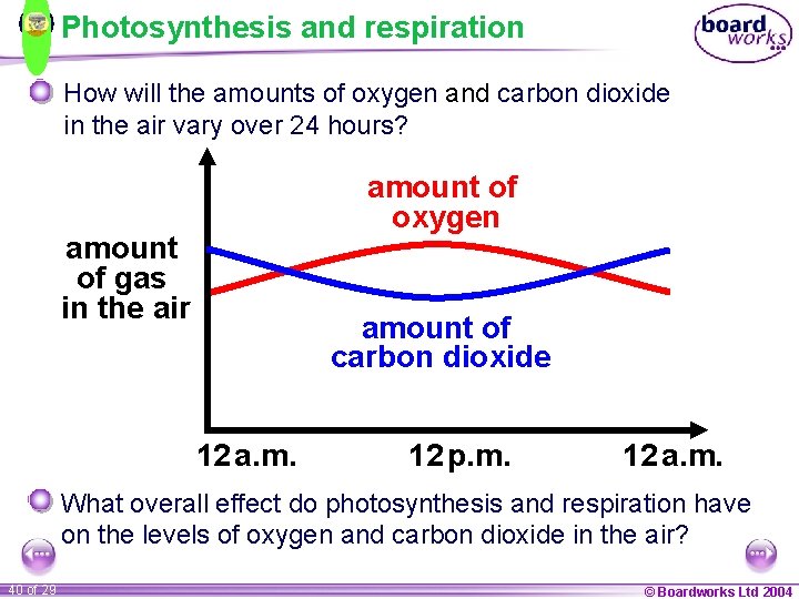 Photosynthesis and respiration How will the amounts of oxygen and carbon dioxide in the