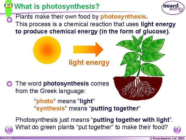 What is photosynthesis? Plants make their own food by photosynthesis. This process is a