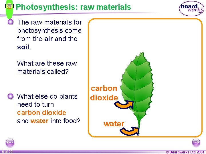 Photosynthesis: raw materials The raw materials for photosynthesis come from the air and the