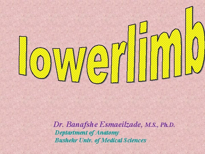 Dr. Banafshe Esmaeilzade, M. S. , Ph. D. Deptartment of Anatomy Bushehr Univ. of Dr. Banafshe Esmaeilzade, M. S. , Ph. D. Deptartment of Anatomy Bushehr Univ. of