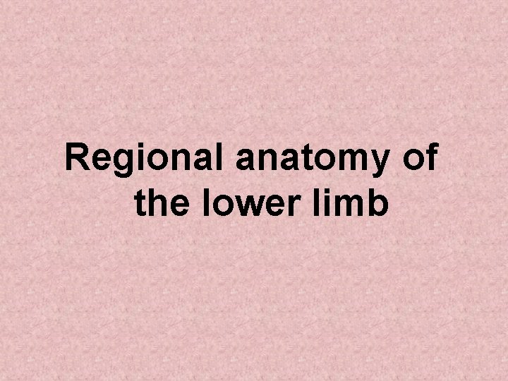 Regional anatomy of the lower limb 