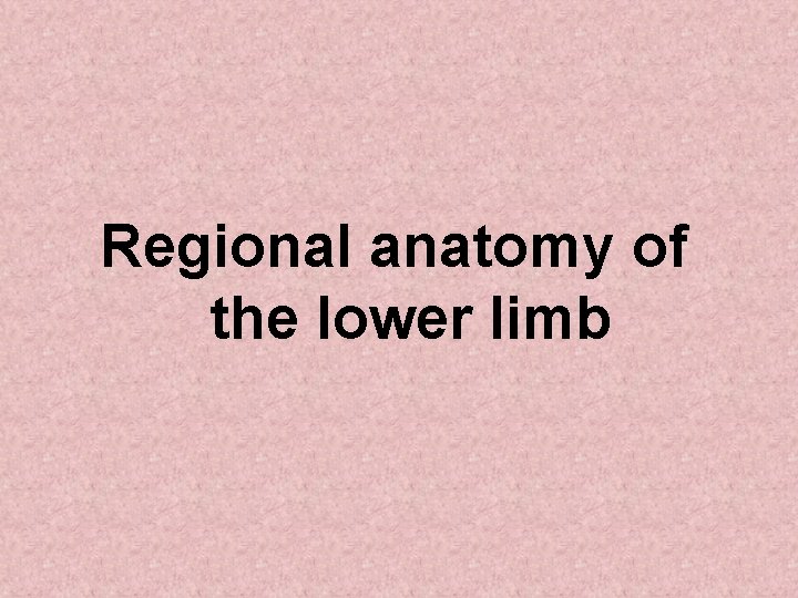 Regional anatomy of the lower limb Regional anatomy of the lower limb