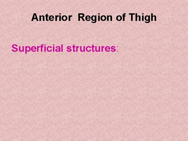 Anterior Region of Thigh Superficial structures: Anterior Region of Thigh Superficial structures: