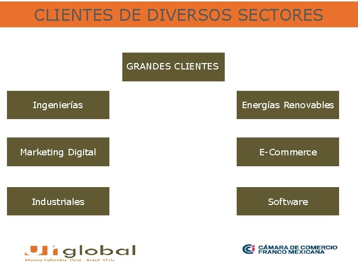 CLIENTES DE DIVERSOS SECTORES GRANDES CLIENTES Ingenierías Energías Renovables Marketing Digital E-Commerce Industriales Software