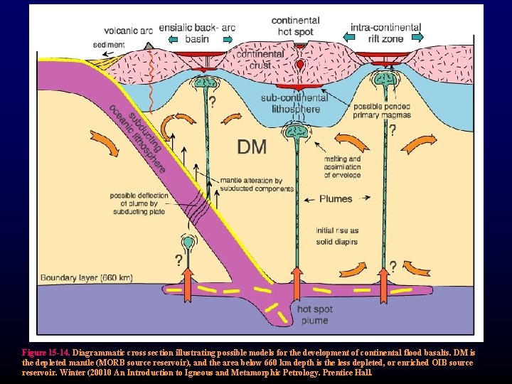 Figure 15 -14. Diagrammatic cross section illustrating possible models for the development of continental