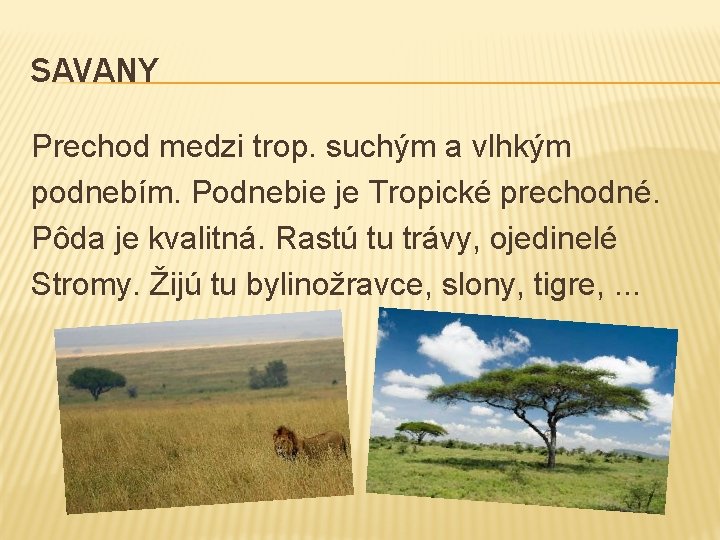 SAVANY Prechod medzi trop. suchým a vlhkým podnebím. Podnebie je Tropické prechodné. Pôda je