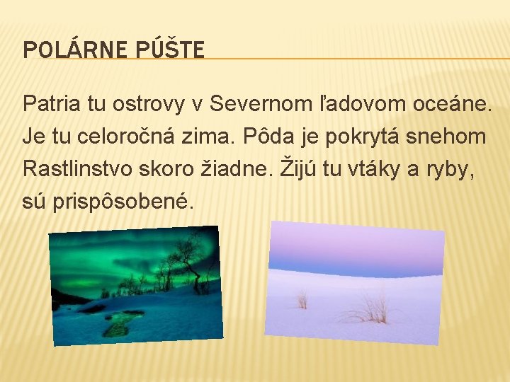 POLÁRNE PÚŠTE Patria tu ostrovy v Severnom ľadovom oceáne. Je tu celoročná zima. Pôda