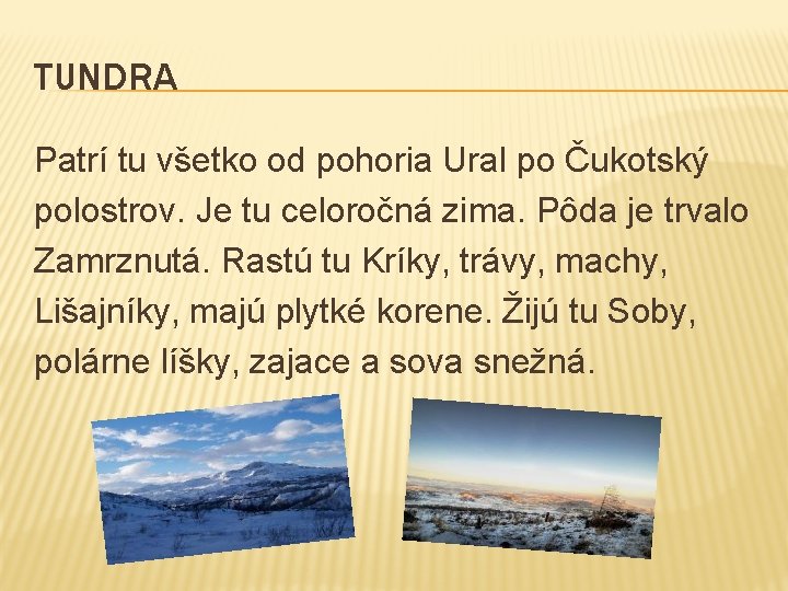 TUNDRA Patrí tu všetko od pohoria Ural po Čukotský polostrov. Je tu celoročná zima.