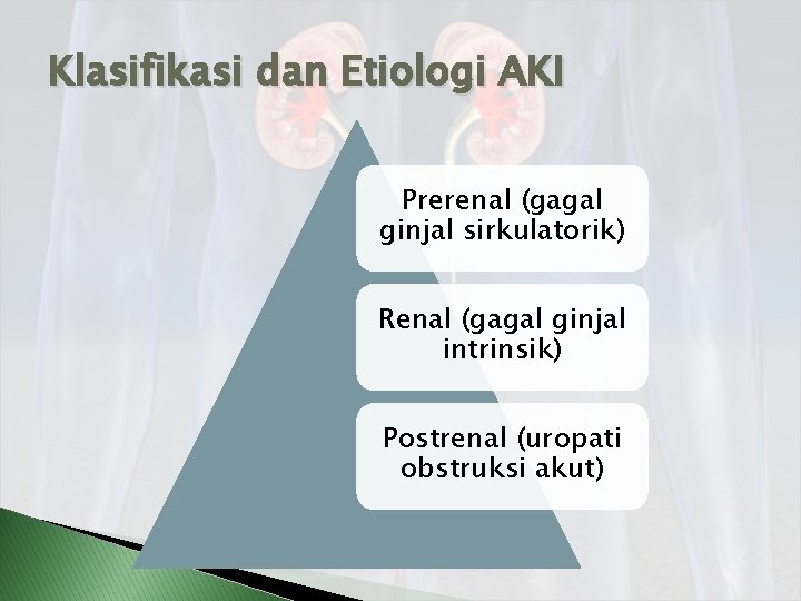 Klasifikasi dan Etiologi AKI Prerenal (gagal ginjal sirkulatorik) Renal (gagal ginjal intrinsik) Postrenal (uropati