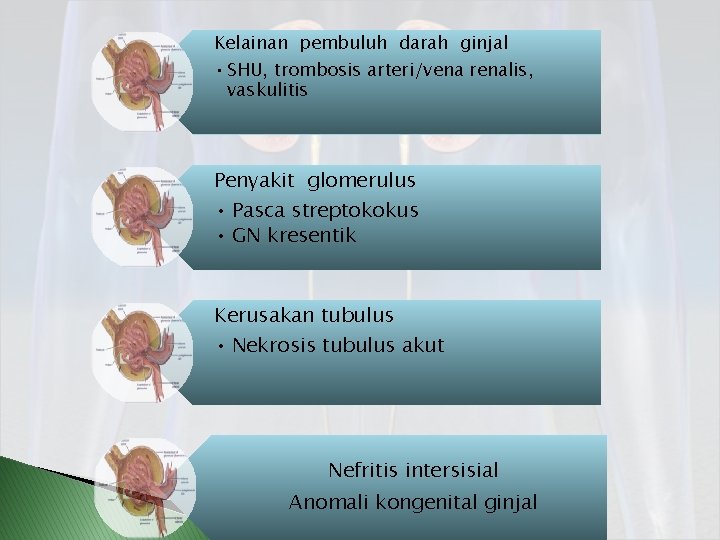 Kelainan pembuluh darah ginjal • SHU, trombosis arteri/vena renalis, vaskulitis Penyakit glomerulus • Pasca