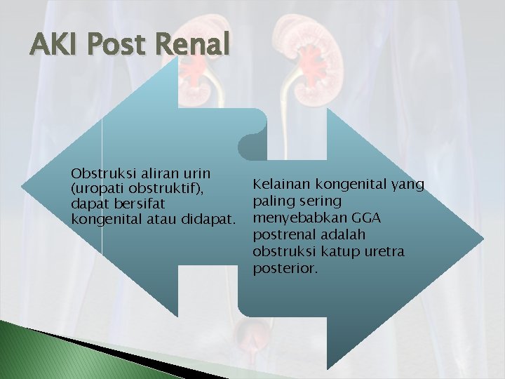 AKI Post Renal Obstruksi aliran urin (uropati obstruktif), dapat bersifat kongenital atau didapat. Kelainan