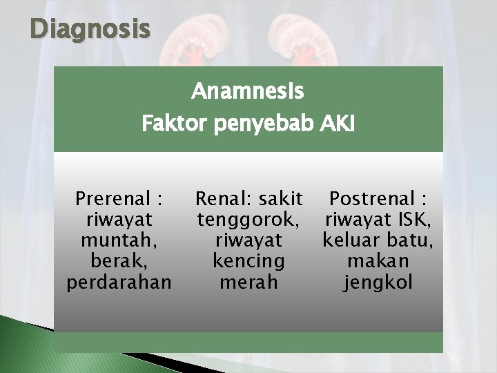 Diagnosis Anamnesis Faktor penyebab AKI Prerenal : riwayat muntah, berak, perdarahan Renal: sakit tenggorok,
