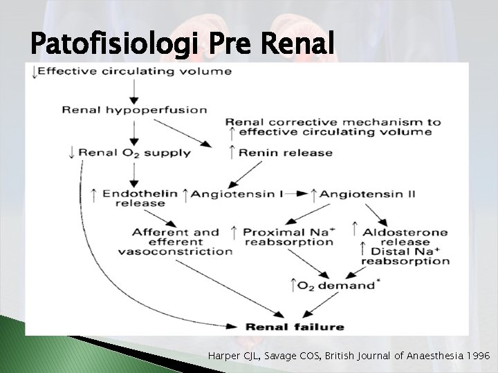 Patofisiologi Pre Renal Harper CJL, Savage COS, British Journal of Anaesthesia 1996 