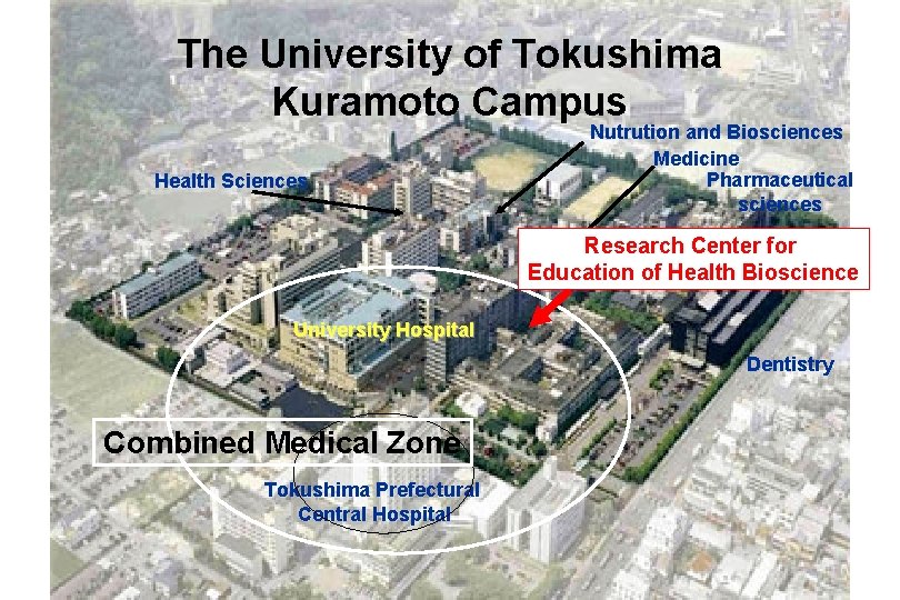 The University of Tokushima Kuramoto Campus Health Sciences Nutrution and Biosciences Medicine Pharmaceutical sciences