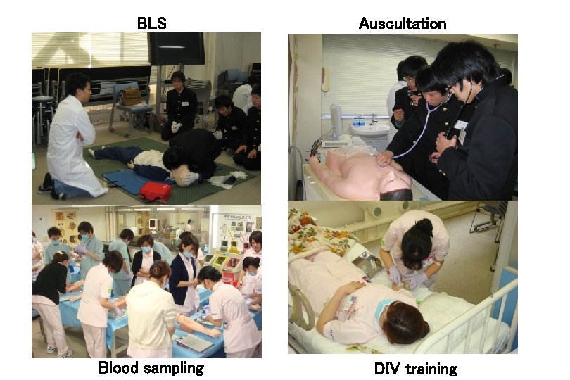 BLS Blood sampling Auscultation DIV training 