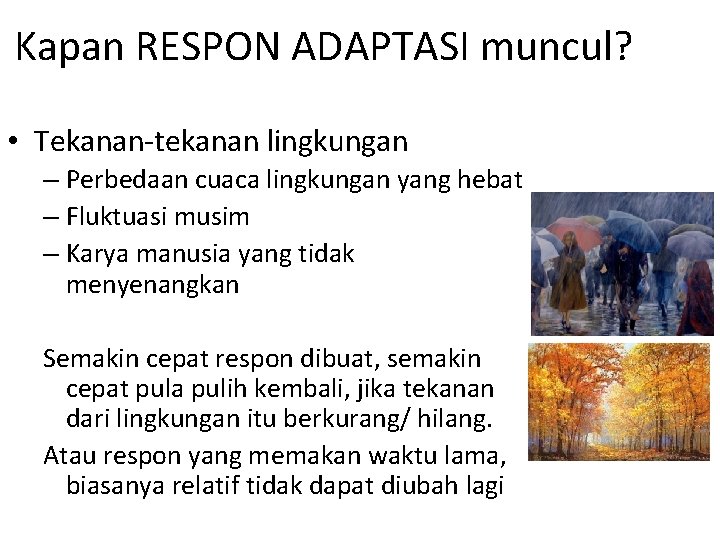 Kapan RESPON ADAPTASI muncul? • Tekanan-tekanan lingkungan – Perbedaan cuaca lingkungan yang hebat –
