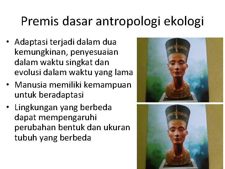 Premis dasar antropologi ekologi • Adaptasi terjadi dalam dua kemungkinan, penyesuaian dalam waktu singkat