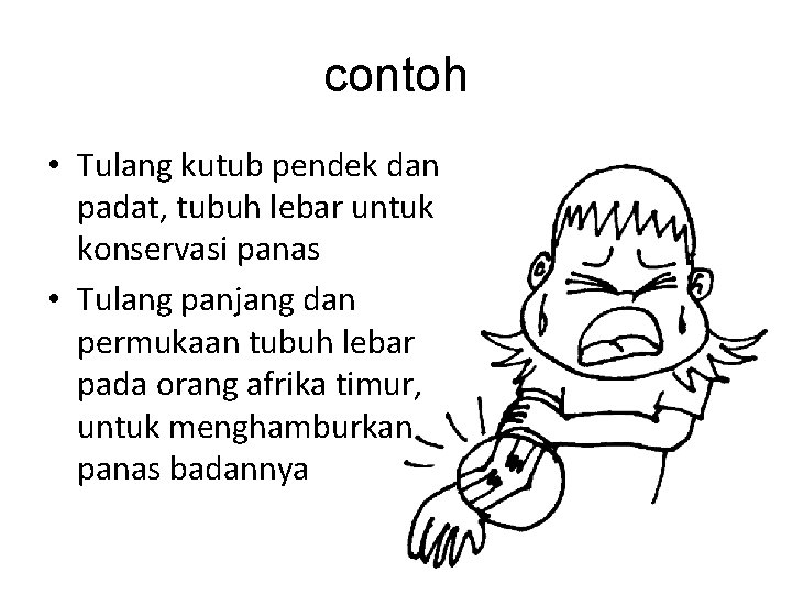 contoh • Tulang kutub pendek dan padat, tubuh lebar untuk konservasi panas • Tulang