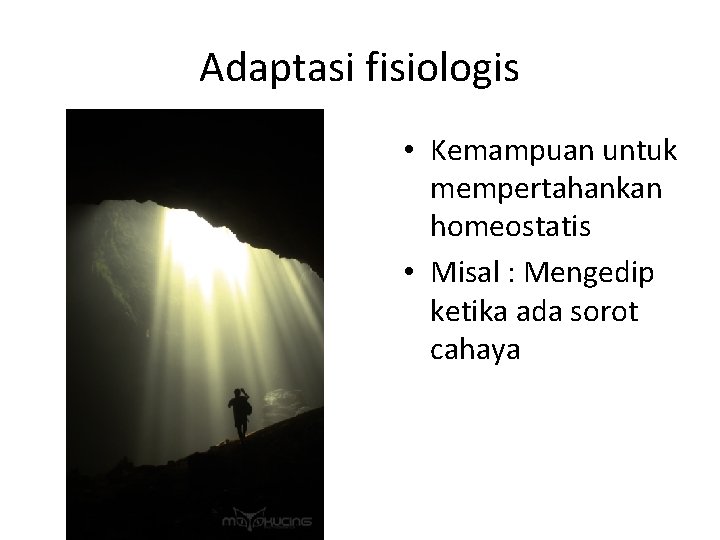 Adaptasi fisiologis • Kemampuan untuk mempertahankan homeostatis • Misal : Mengedip ketika ada sorot