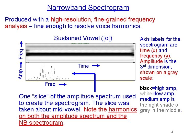Narrowband Spectrogram Produced with a high-resolution, fine-grained frequency analysis – fine enough to resolve