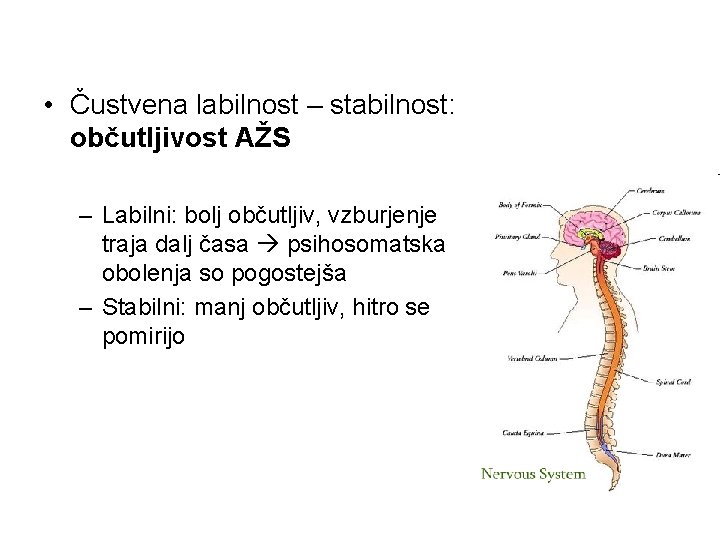  • Čustvena labilnost – stabilnost: občutljivost AŽS – Labilni: bolj občutljiv, vzburjenje traja