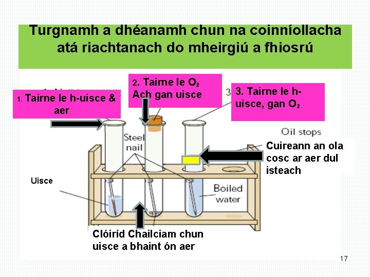 Turgnamh a dhéanamh chun na coinníollacha atá riachtanach do mheirgiú a fhiosrú 2. 1.
