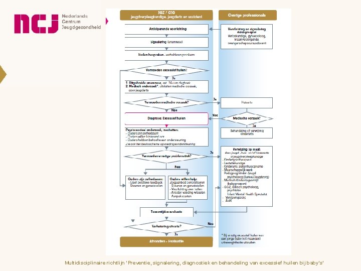 Multidisciplinaire richtlijn 'Preventie, signalering, diagnostiek en behandeling van excessief huilen bij baby's' 